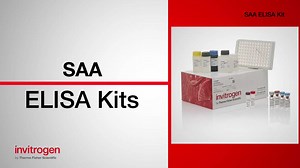 SAA ELISA Kits