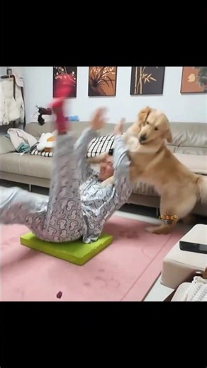 Witty clips. #funny #funnyvideo #comedy #shorts #shortvideo #short #funnyshorts #dailyshorts #epic