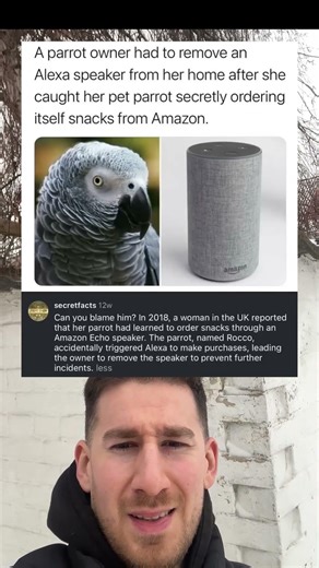 A Parrot Learned How to Use Alexa—and Chaos Followed 💀📢