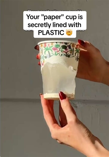 Plastic-Lined Paper Cups vs. Compostable Alternatives