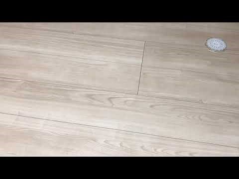 オペラント条件づけの実践