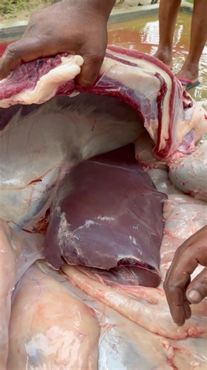 Cow's liver slicing skills #meatcuttingtechniques #meatslicing #butchering