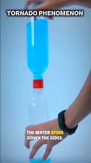 ​DIY Tornado in a Bottle, Physics is Awesome🌪️!#physics #education #science