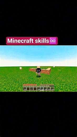 POV: You Have Dream’s Minecraft Skills 😈 #minecraft