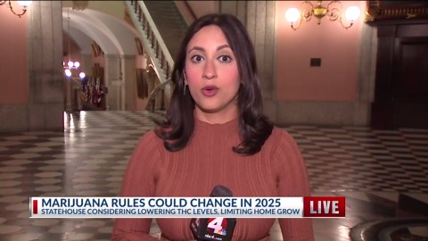 How marijuana laws could change in 2025