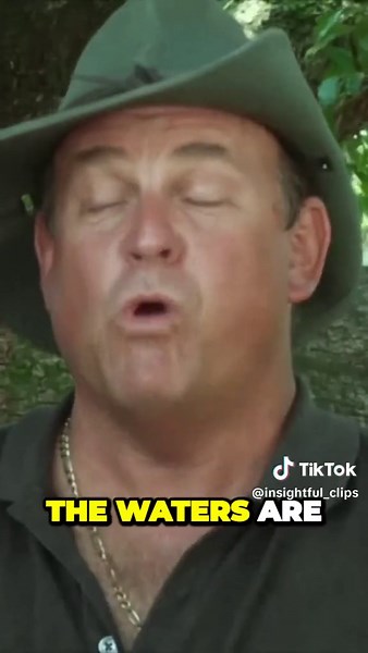 North Pole secret?!?!😳🤔. Thoughts?🤔#fy #fyp #viral #conspiracytiktok #conspiracy #conspiracytherory #northpole #government #ancientcivilizations #ancientaliens #aliensalive #northpoleconspiracy