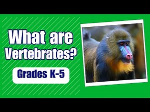 What is a Vertebrate - More Grades 2-5 Science