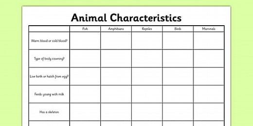 Animal Characteristics Worksheet
