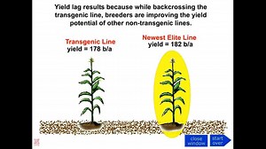 Backcrossing – Science Learning
