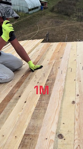 Meti (@meti.terholli)’s videos with original sound - Meti