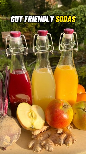 DIY Gut-Friendly Sodas🥤🍎🍊 Once you made your own fermented probiotic rich sodas at home you’ll never buy shop bought again! 😊 and today I’m making some flavour combinations using some produce from the vegetable garden: apple and ginger, orange, and beetroot and apple just for the colour alone! 🍎🍊 I start by adding some of my ginger bug starter culture, made from fermenting ginger, unrefined sugar and filtered water for 3-5 days. check out my recent ‘ginger bug’ post for the full process. I