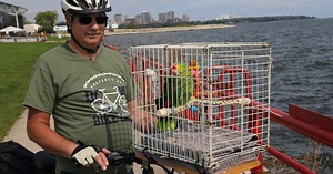 New Berlin 'bird guy' puts new parrot on his bike after famous Barney the Biking Bird died