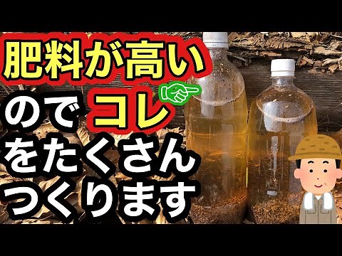 油かすで作る液肥はコスパ最強！？簡単に作れる自家製液肥 作り方＆使い方