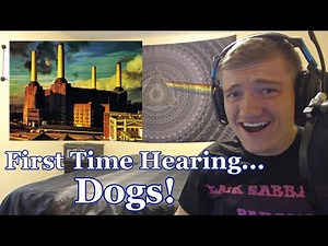 College Student's FIRST TIME Hearing | Dogs | Pink Floyd Reaction | Animals Full Album Reaction
