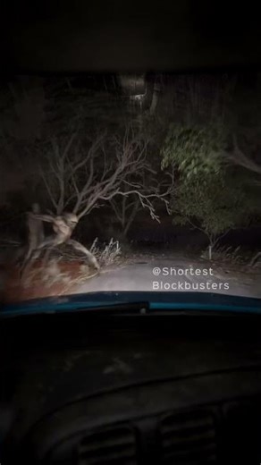 The Monster of the Outback 👀 Only in Australia | CGI Horror Short