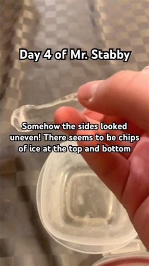 Mr. Stabby day 4 #icicle #pets #coolio #dayfour