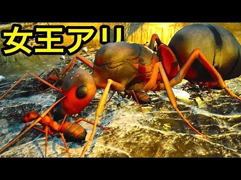 巣を覗いてみた！『女王アリ』から始まるアリの巣コロニー作り！ #1【 Empires of the Undergrowth 】実況
