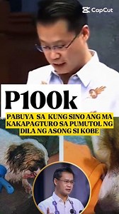 DSWD sec. Win Gatchalian mag bibigay ng 100k pabuya sa kung sinong makakapag turo sa taong gumawa ng ganito sa asong si Kobe #WinGatchalian #animalwelfare #respectanimals #asongsikobe | Venielyn Rahman