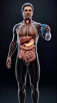 What Happens inside your Body when you Stop Drinking Soda