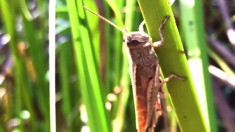 Unexplored Mexico: Awe-inspiring Natural Wonders Off the Beaten Path