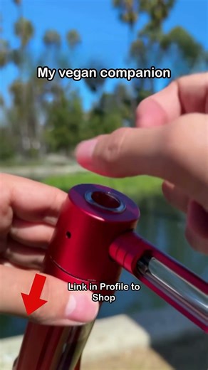 Authentication Fails (auth header format should be Bearer sk-...)