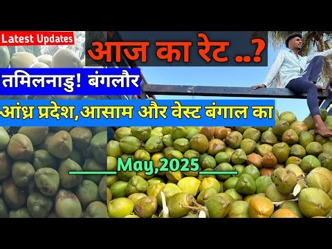 Today Rate Tender Coconut !Banglore,Assam , Tamilnadu & Andhra Pardesh Present Rate Of Coconuts