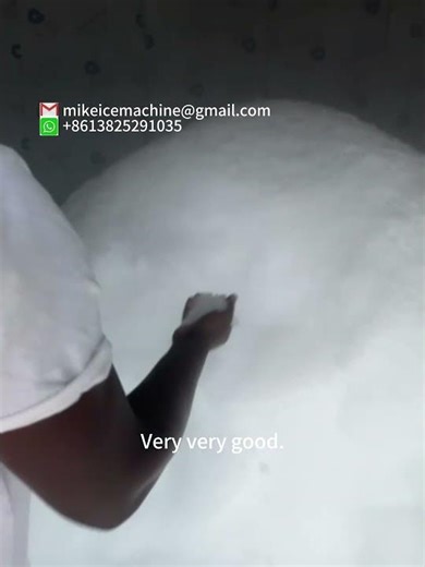 Successful ice project in Gambia after 9 years