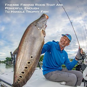 KastKingFishing Rod - IM8 Graphite Blanks, 8 Different Light & Ultralight Casting & Spinning Fishing Rods, 2 & 3 Piece Rods- Kestrel