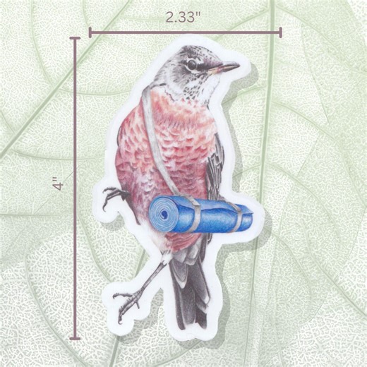 Rosie American Robin Sticker - Chicago Bird Decal - Lincoln Park Nature Art - Vinyl Yoga Decor - Etsy