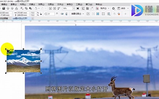 cdr图片怎么打开？cdr打开图片
