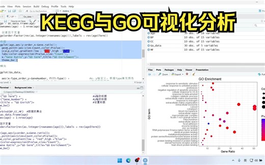 网络药理学-Part 4-R语言绘制GO与KEGG富集分析柱状与气泡图（ggplot进行GO与KEGG可视化分析）