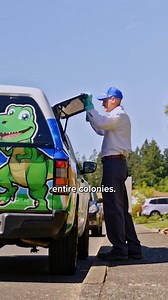 Your home looks clean, but rodents are moving in for winter in places you can't see. Axiom's safer-than-table-salt formula targets hidden colonies others miss. | Axiom Eco-Pest Control Nashville | Facebook