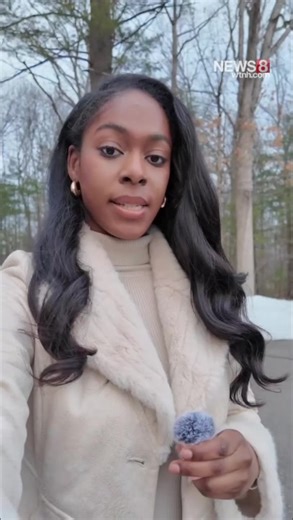 Investigation into Dead Dogs Found in Connecticut