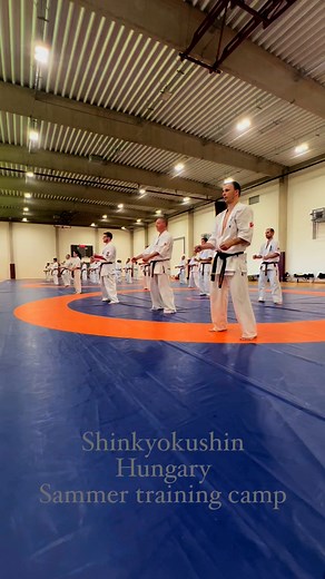 Hungarian Summer camp 🇭🇺 | SHINKYOKUSHIN MARTIAL ARTS FEDERATION HUNGARY