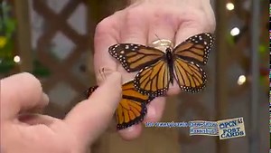 18 reactions | For over 25 years, PCN has brought our viewers coverage of the Pennsylvania Farm Show. Our coverage goes beyond all others, introducing you to the people that sustain and grow Pennsylvania's agriculture industry. ➡️ Learn more about our coverage here: https://pcntv.com/farm-show/ | Pennsylvania Cable Network | Facebook