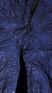 The bedtime buddy you never knew you needed: @diddy. Let these sultry tones whisk you away to the land of nod… | Audible