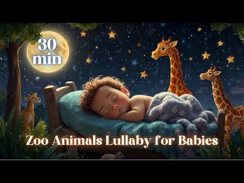Zoo Animals Lullaby for Babies 💤 Soothing Sleep Music with Cute Animal Friends 💤 30 minutes