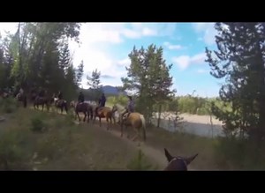 32K views · 75 reactions | ...e se il salto in stile Fosbury fosse in realtà il salto in stile Quande? Tutti i retroscena della tecnica che rivoluzionò il salto in alto nel racconto di Francesco Frank Lotta a #RioDeeJaneiro | Radio Deejay | Facebook