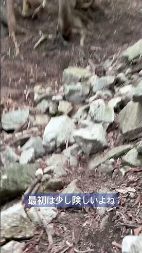 『雨乞岳登山.2』2026年5月13日 #ソロ登山 #yamap #自然 #トレッキング#trekking #mountaineering #japan #鈴鹿山脈 #登山動画 #nature #足音