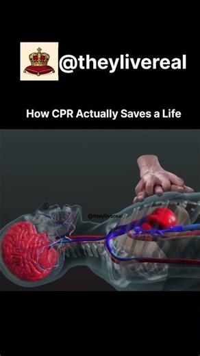 How CPR Actually Saves a Life #scieence #science #biology #maths #phsics