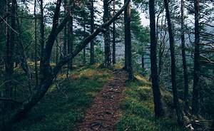 Kousoku Sentai Turboranger Episode 1 English Sub