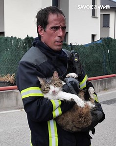 Un incendie à Grésy-sur-Aix 🚒 À 15h45, un incendie s'est déclaré dans la résidence du Clos Pré Rouge à Grésy-sur-Aix. Les pompiers du SDIS 73 sont intervenus rapidement, avec des renforts venus de Haute-Savoie, de l'Isère et de l'Ain. Au total, 54 pompiers et 24 véhicules ont été mobilisés pour combattre l'incendie. Le bâtiment a fini par céder sous son propre poids. Pour l'instant, aucune victime n'a été déplorée. La gendarmerie a lancé une enquête pour déterminer l'origine de l'incendie, et l