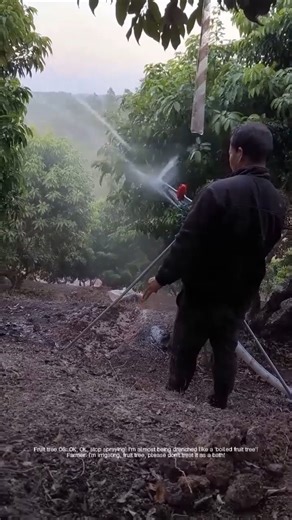 “Super shower” for fruit trees: high-pressure sprayer at work!