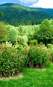 Tum haste rehte hoo #poshwanpark #pahalgam #bestnature | Pogal Paristan Explorer