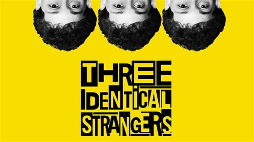 Three Identical Strangers (2018)