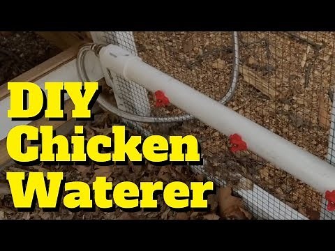 Building a DIY Chicken Waterer