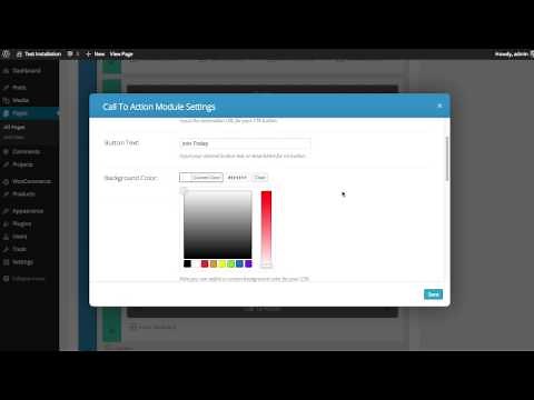 Using The Call To Action In Divi