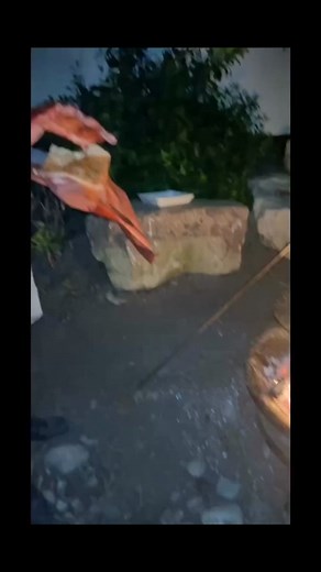 417K views · 1.6K reactions | Physics is important | allfails | Facebook