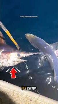 Animales salvajes que sufrieron la dureza de la naturaleza #wildlife #vidasalvaje