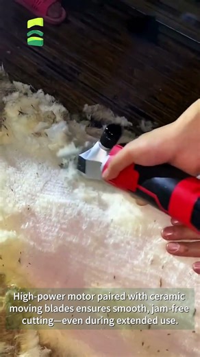 6-Speed Electric Shears: The Upgrade Farmers Didn't Know They Needed #farming#goats